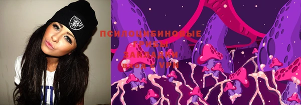 дживик Корсаков