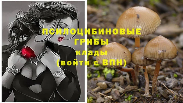 твердый Костерёво