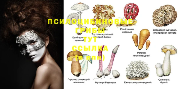 твердый Костерёво