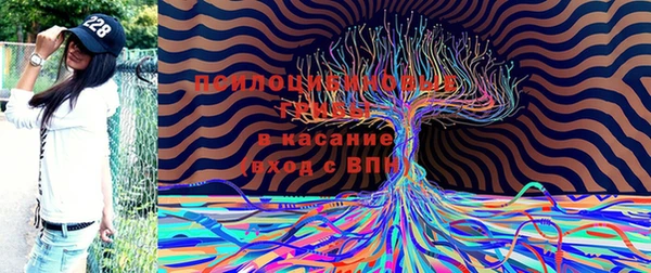 дживик Корсаков
