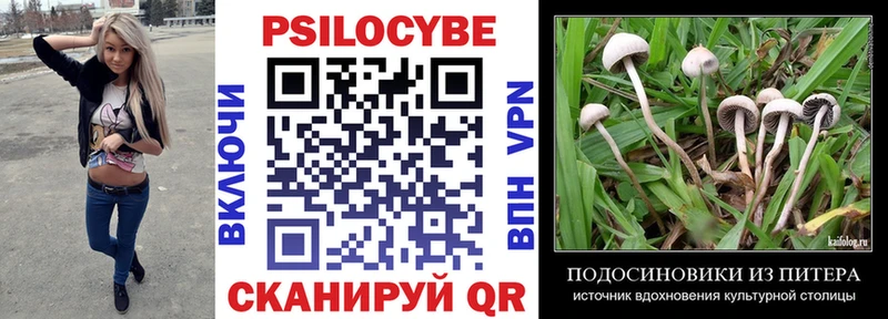 Псилоцибиновые грибы Magic Shrooms  Купить закладки  Ртищево 